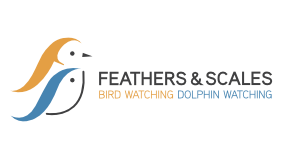 Feathers_Scales_H